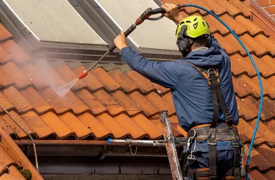 Démoussage et hydrofuge de toiture à Mesnil-Domqueur